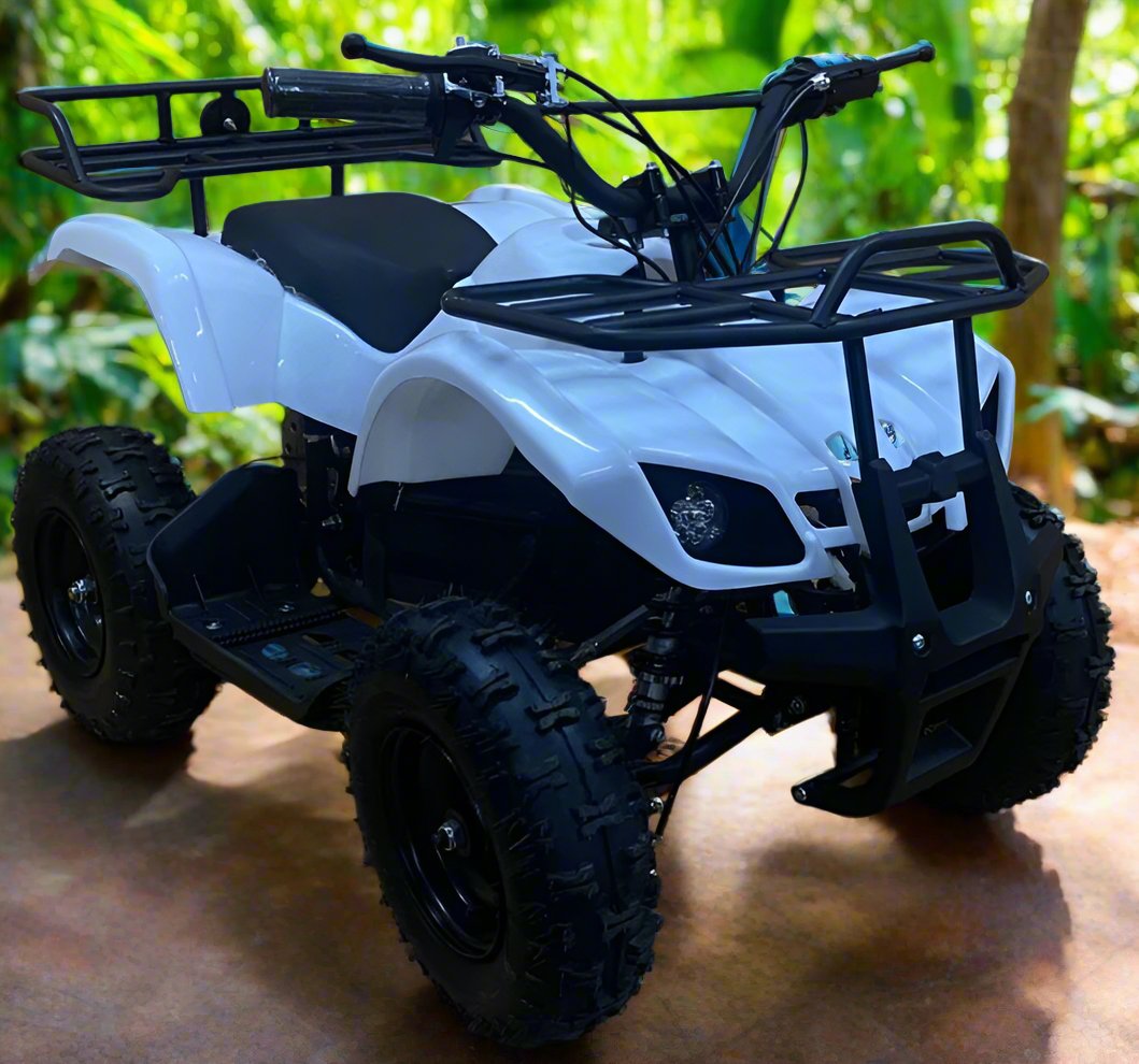 36V 500W Vihan Mini ATV - 8 to 15 years old - NO RETURNS