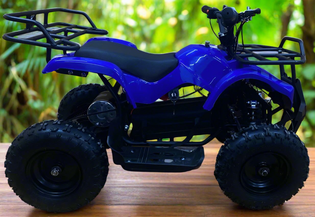 36V 500W Vihan Mini ATV - 8 to 15 years old - NO RETURNS