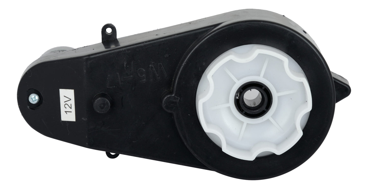 12V 12000 RPM Car and Bike HIGH QUALITY Rewinded Gearbox WITH Motor, 12mm Inner Diameter, 6 Grooves Plum RS550 - For R1 and DLS Motorcycle