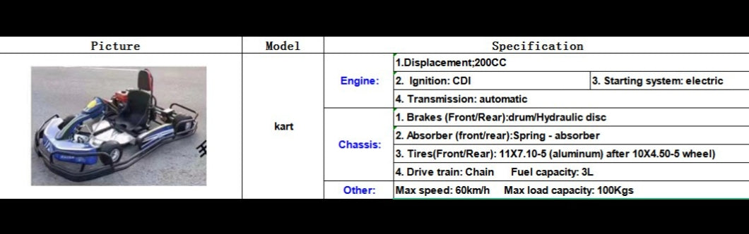 PETROL GOKART 200 CC - Pull Start - 6 to 100 years