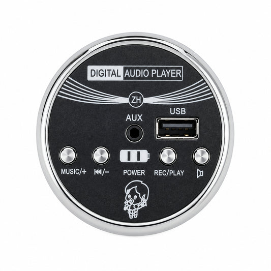 R1, R3 Bluetooth Music Player 12V - T3